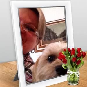 Meet your Posher, Lily